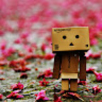 xxlaql.png?1764038697