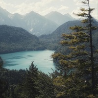 qhtmxq.png?1765081232