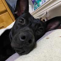 ddnwte.png?1729666545