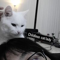 jeiaxa.png?1732062538