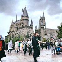 mgwbnv.png?1734575769