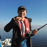 sqsyie.png?1734580921