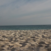 vpapvv.png?1715149718
