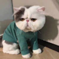 kkhjow.png?1738416569