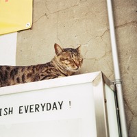 jczoqf.png?1675492518