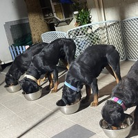 cpfhyt.png?1770126522