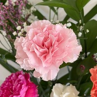 wufhrm.png?1753160066