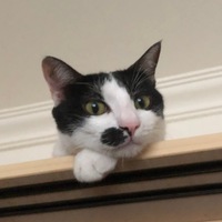 ftbyjt.png?1606716223