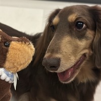 npntza.png?1768038736