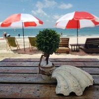 lzobdv.png?1615603429