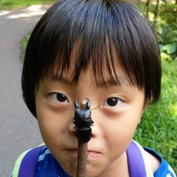 ofeijw.png?1624375878