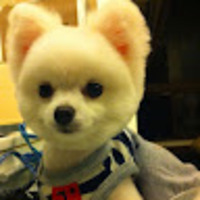 apheoq.png?1734596815