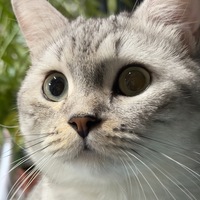 vsyyhc.png?1768801057