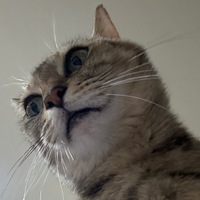 fdwmxr.png?1771268038