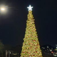 qumpkq.png?1768885180