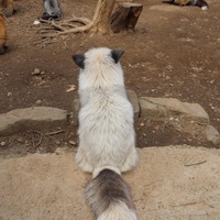 dyiqwe.png?1672660531