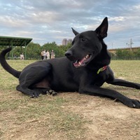 pihgki.png?1637940182