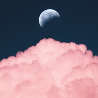 evzjow.png?1749195804