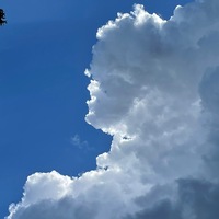 syefqt.png?1634523074