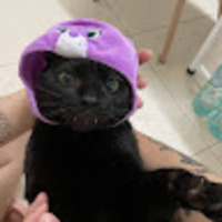 iikpwy.png?1762151972