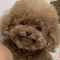 fsbjqq.png?1734597275