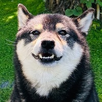 zjglgt.png?1761151207