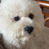 jwsroc.png?1658908316