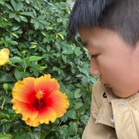 alknvr.png?1644543036