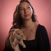 sofqmo.png?1770814299