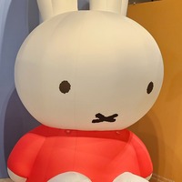 vmxpab.png?1759097245