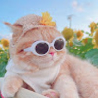evapft.png?1748952924