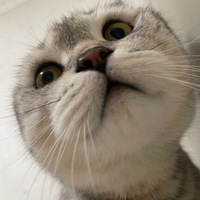 wustuq.png?1658933984