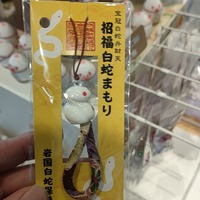 trocxh.png?1738723663