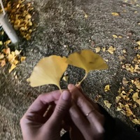 okbxre.png?1746459766