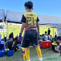 bsqewx.png?1747575481