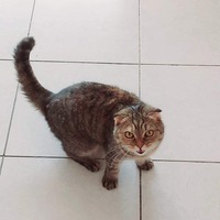 jxiznp.png?1665507825