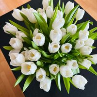 ssyesn.png?1743194207