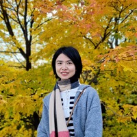 vbouli.png?1668725400