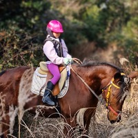 niypst.png?1768631051