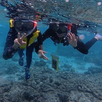 hnmhag.png?1764593769