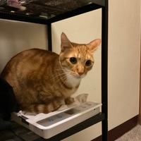 zmrbrb.png?1680609549