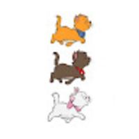 donhgj.png?1735007407
