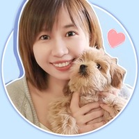 suhiao.png?1765773204