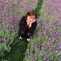 mfbhwr.png?1735014779