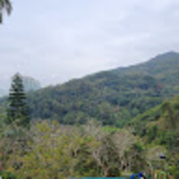 uqppgj.png?1758350202