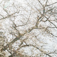 aarjwm.png?1759411224