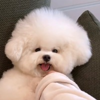 enawbs.png?1747206601
