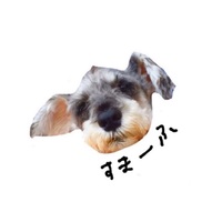xppxhs.png?1735017899