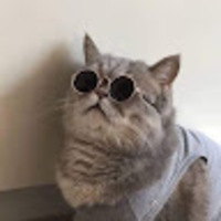 dqdzrz.png?1762333759