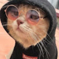 ahvzgh.png?1760830176